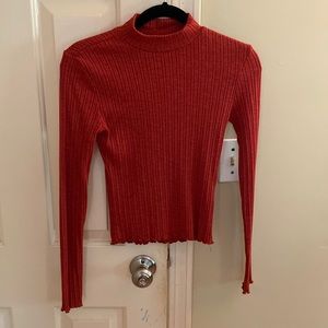 Small rust colored shirt